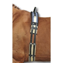 Pas do lonzowania /hipoterapi